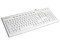 Teclado de Alta Calidad Samsung Pleomax Slim Zen Edition de Teclas Suaves, USB/PS2. Color Blanco