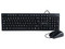 Kit de Teclado y Mouse Vorago KM-108, USB. Color Negro.
