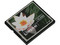 Memoria Kingston de 1GB Compact Flash (CF)