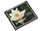Memoria Kingston Compact Flash de 4GB