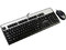 Servidor HP ProLiant ML115 G5,
Procesador AMD Opteron QuadCore, 2.2 GHz),
Memoria de 1GB,
D.D. de 250GB, DVD-ROM HP,
Red, No incluye Sistema Operativo