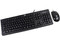 Computadora HP All in One Omni  Pro 110,
Procesador Intel Pentium Dual-Core E5800 (3.2GHz),
Memoria 2GB DDR3, D.D. de 500GB,
Video Intel GMA X4500, DVD SuperMulti, Red 802.11b/g/n,
Windows 7 Starter (32 Bits),
Monitor LCD HD Wide de 20