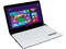 Laptop Sony VAIO SVE14125CLW:
Procesador Intel Core i5-3210M (hasta 3.1 GHz) 3ra Generación,
Memoria de 4 GB DDR3, Disco Duro de 500 GB,
Pantalla HD LED de 14