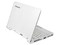 Netbook Lenovo IdeaPad S10:
Procesador Intel Atom N270 (1.60 GHz),
Memoria de 1GB DDR II, Almacenamiento Interno 160GB,
Pantalla de 10.2