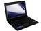 Netbook  Samsung Mini NP-N150:
Procesador Intel Atom N450 (1.66 GHz),
Memoria de 1GB DDR II, DD 160GB,
Pantalla de 10.1