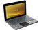 Netbook Sony Vaio:
Procesador Intel Atom N280 (1.66 GHz),
Memoria de 1GB DDR II,  Disco Duro 250GB,
Pantalla de 10.1