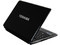 Netbook Toshiba T115D-SP2001M:
Procesador AMD Athlon Neo MV-40 (1.6 GHz),
Memoria de 1GB DDR II, Disco Duro 160GB,
Pantalla de 11.6