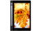 Tablet Lenovo Yoga Tab 3:
Procesador Quad-Core (1.3 GHz),
Memoria RAM de 1GB, Almacenamiento de 16GB,
Soporta microSD, Pantalla IPS de 8