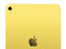 iPad 11
