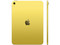 iPad 11