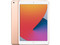 iPad 10.2