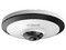 Cámara de vigilancia Fish Eye Dahua DH-HAC-EW2501 de 5MP, HDCVI, vista panorámica 360 grados, IR hasta 10 metros, audio integrado, IK10  a prueba de vandalismo.