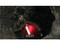 Resident Evil 4 (Nintendo Wii)