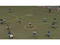 Pro Evolution Soccer 2008 (Nintendo Wii)