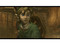 Legend of Zelda: Twilight Princess (Nintendo Wii)