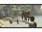 Legend of Zelda: Twilight Princess (Nintendo Wii)