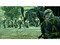 Metal Gear Solid 4: Guns of the Patriots (PS3)