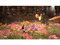 Folklore (PlayStation 3)