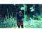Folklore (PlayStation 3)