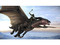 LAIR (PlayStation 3)