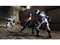 Ninja Gaiden Sigma (PlayStation 3)