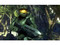 Halo 3 (Xbox 360)