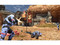 Halo 3 (Xbox 360)