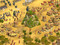 Microsoft Rise of Nations GOLD en Español, CD.