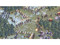 Microsoft Rise of Nations: Expansión 