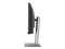 Monitor Curvo ASUS ProArt PA34VCNV de 34