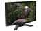 Monitor LCD Acer Widescreen 24