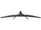 Monitor Gamer Balam Rush EXORVIT EARTH MZX49C de 49