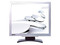 Monitor LCD BenQ FP91G+ de 19Pulg. Color Negro/Plata