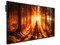 Monitor de Señalización Interactivo BenQ IL5501 de 55