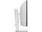 Monitor Curvo DELL S3425DW de 34
