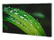 Pantalla Comercial para Videowall Dahua LS460UCM-UF de 46
