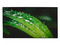 Pantalla Comercial para Videowall Dahua LS460UCM-UF de 46