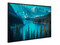 Monitor de Señalización LG 55UM5N de 55
