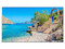 Monitor LED LG de 55
