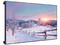 Pantalla para Videowall LED LG 55VL5F-A de 55