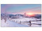Pantalla para Videowall LED LG 55VL5F-A de 55