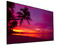 Pantalla Comercial LED LG 86UL3J de 86