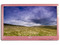 Monitor LCD LG Color Pop Widescreen de 18.5