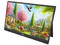 Monitor Portátil LED Qian QMP-IP16S de 15.6