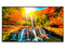 Pantalla Comercial Sharp PN-ME552 de 55