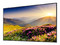 Monitor de Señalización Samsung Crystal UHD QMC de 43