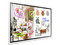 Pantalla Interactiva Samsung Flip 2.0 de 55