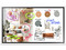 Pantalla Interactiva Samsung Flip 2.0 de 55