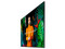 Pantalla Comercial Samsung Crystal UHD QMC de 75