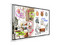 Pantalla Interactiva Samsung Flip de 75